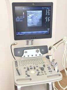 Ultrasonograf GE Logiq P6 (prod. 2013)